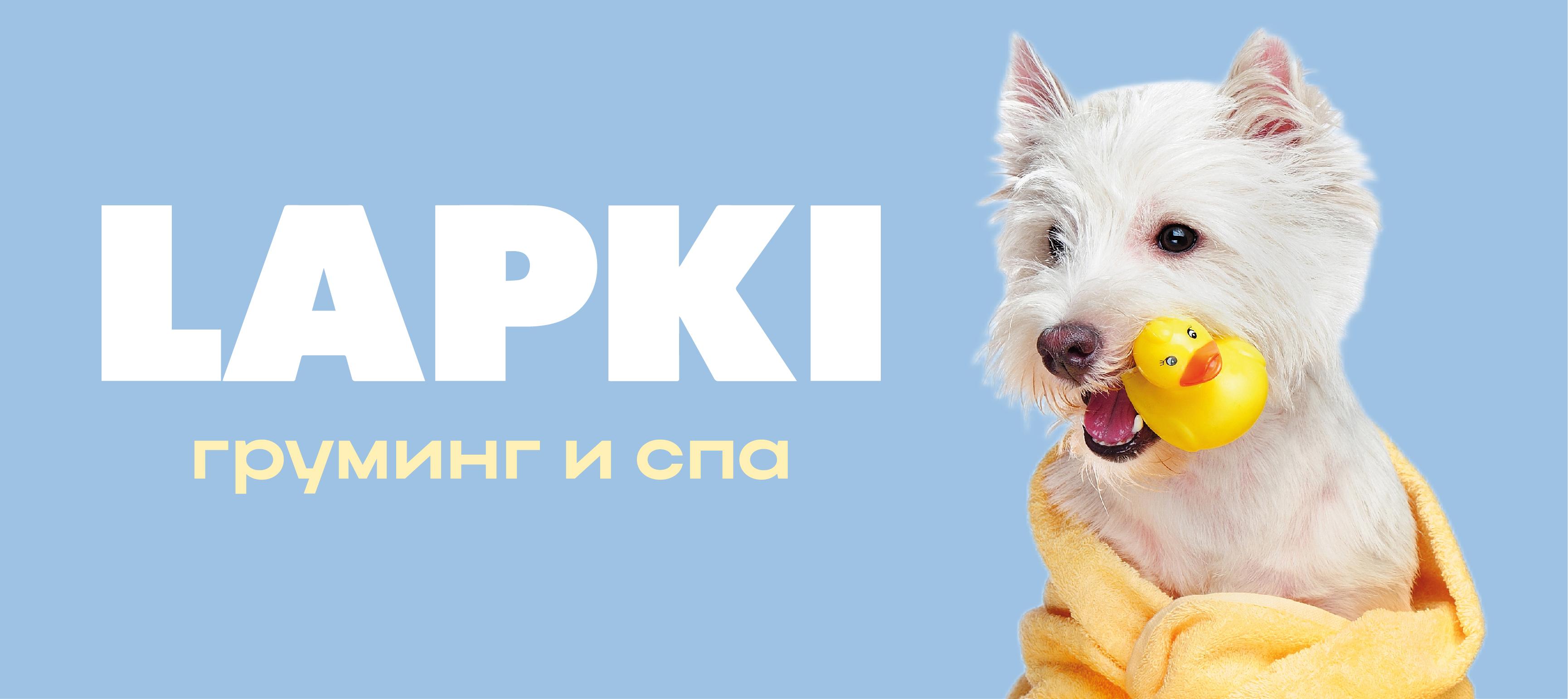 Студия груминга LAPKI