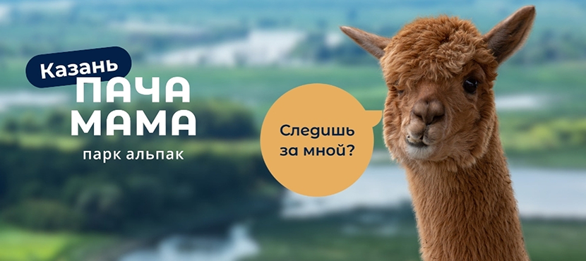 Парк альпак Пача Мама