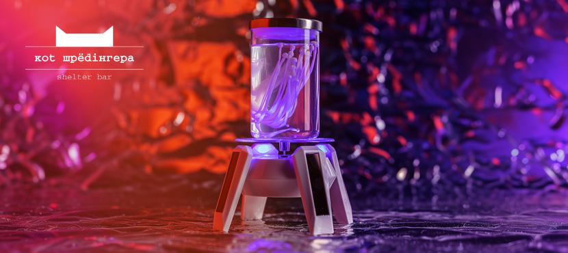 SHELTER BAR KOT ШРЁДIНГЕРА